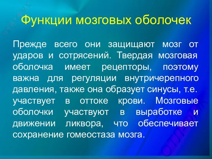 Функции мозговых оболочек Прежде всего они защищают мозг от ударов и