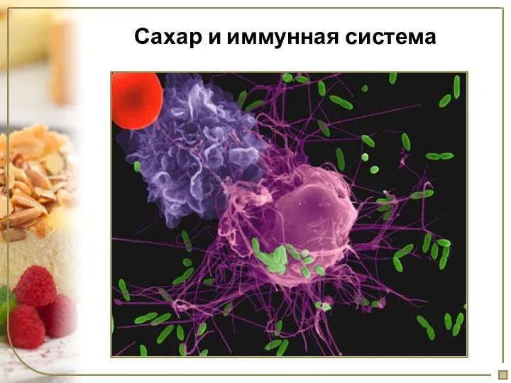 Сахар и иммунная система