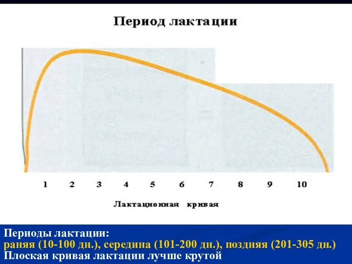 Периоды лактации: раняя (10-100 дн.), середина (101-200 дн.), поздняя (201-305 дн.) Плоская кривая лактации лучше крутой