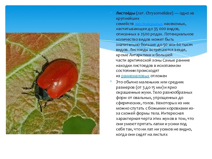 Листое́ды (лат. Chrysomelidae) — одно из крупнейших семейств жесткокрылых насекомых, насчитывающее