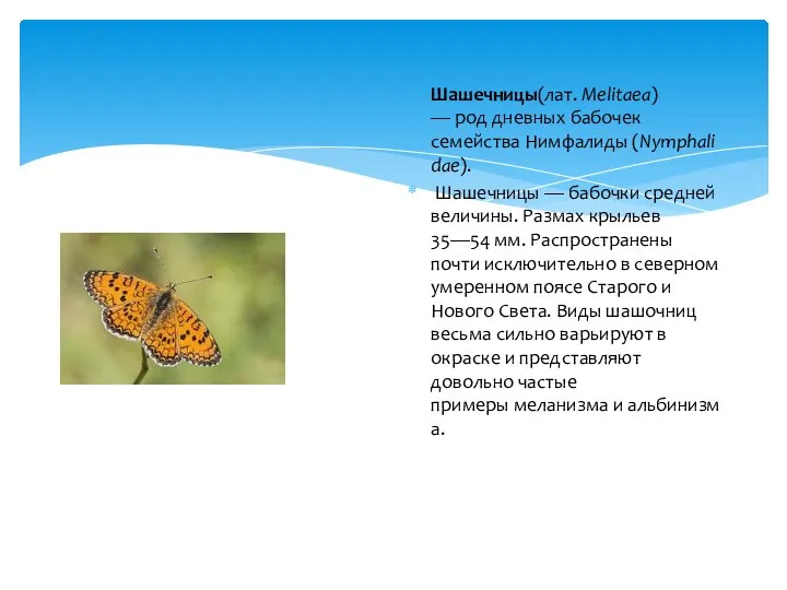 Шашечницы(лат. Melitaea) — род дневных бабочек семейства Нимфалиды (Nymphalidae). Шашечницы —