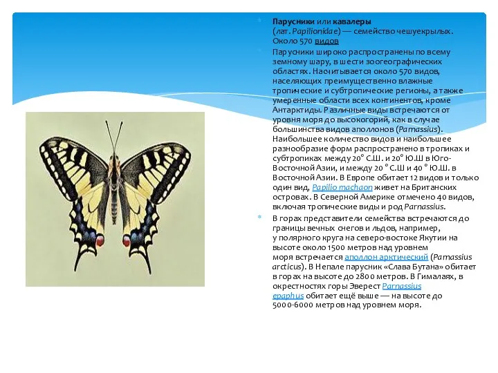 Парусники или кавалеры (лат. Papilionidae) — семейство чешуекрылых. Около 570 видов