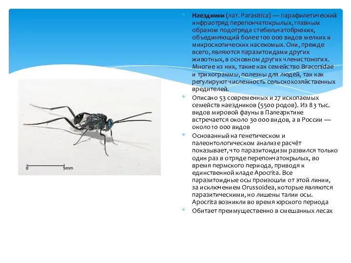 Наездники (лат. Parasitica) — парафилетический инфраотряд перепончатокрылых, главным образом подотряда стебельчатобрюхих,