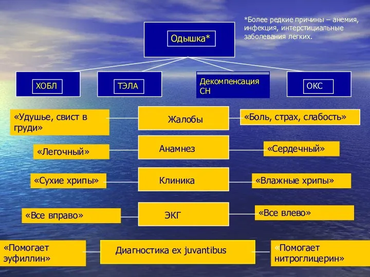 Декомпенсация СН Жалобы Анамнез Клиника ЭКГ Диагностика ex juvantibus «Легочный» «Сердечный»