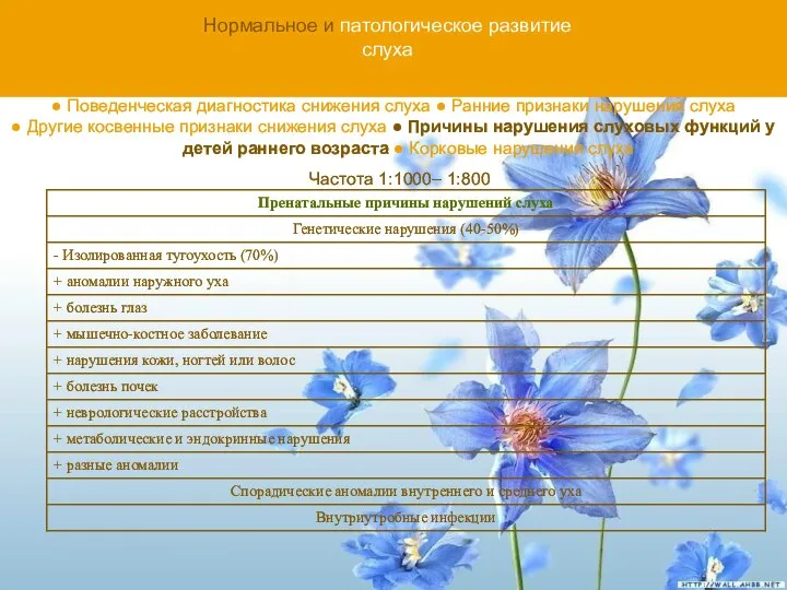 Нормальное и патологическое развитие слуха ● Поведенческая диагностика снижения слуха ●