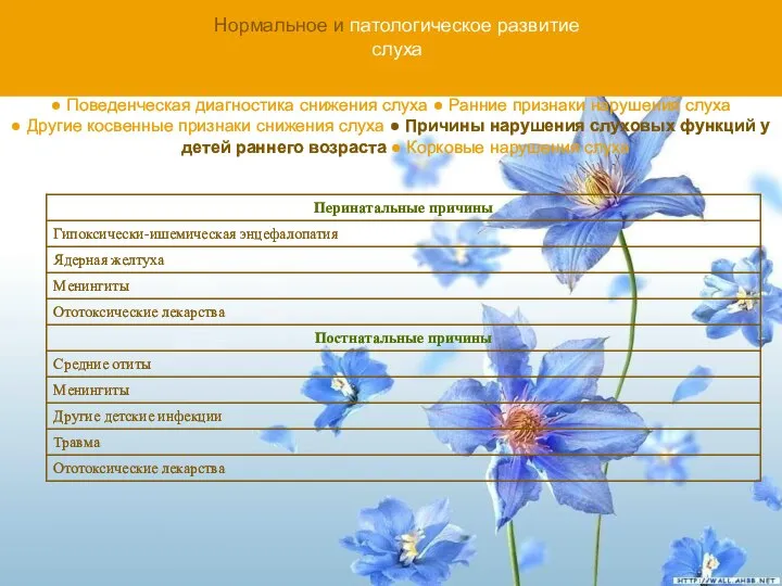 Нормальное и патологическое развитие слуха ● Поведенческая диагностика снижения слуха ●