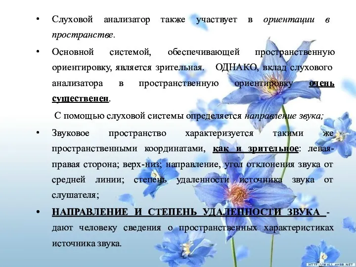 Слуховой анализатор также участвует в ориентации в пространстве. Основной системой, обеспечивающей