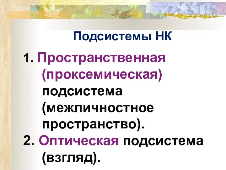 Подсистемы НК 1. Пространственная (проксемическая) подсистема (межличностное пространство). 2. Оптическая подсистема (взгляд).