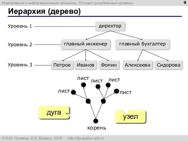 Иерархия (дерево) узел дуга