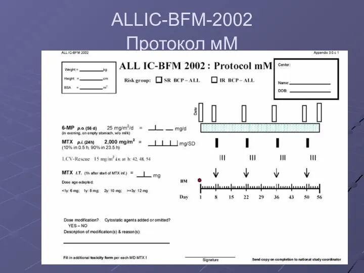 ALLIС-BFM-2002 Протокол мM