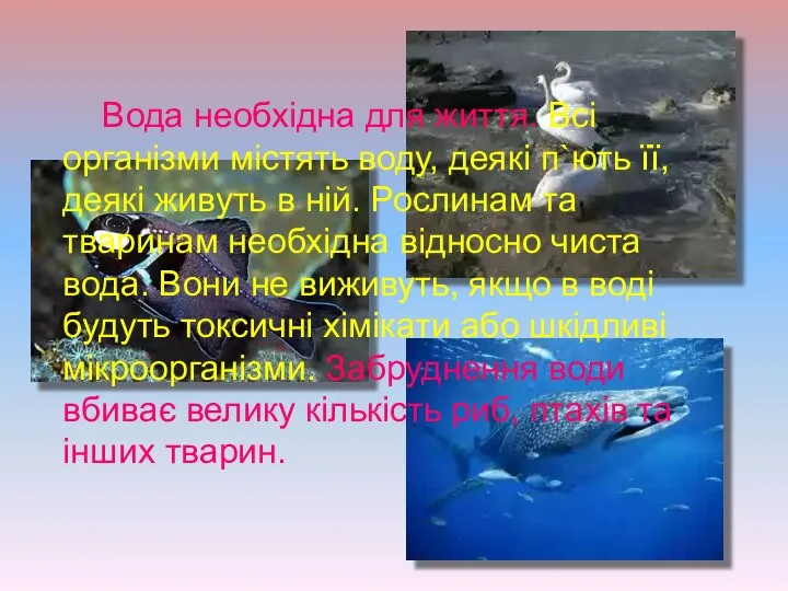 Вода необхідна для життя. Всі організми містять воду, деякі п`ють її,