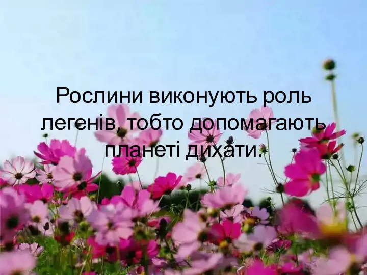 Рослини виконують роль легенів, тобто допомагають планеті дихати.