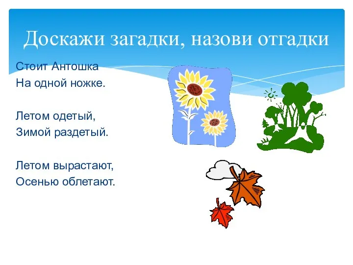 Доскажи загадки, назови отгадки Стоит Антошка На одной ножке. Летом одетый,