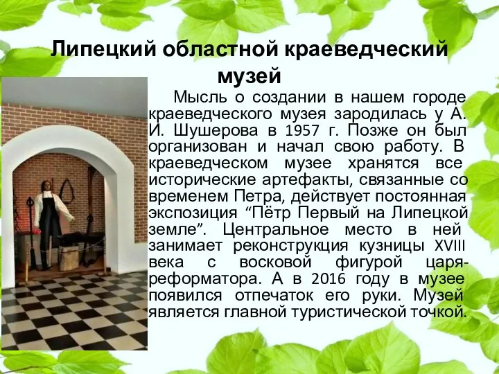 Липецкий областной краеведческий музей Мысль о создании в нашем городе краеведческого