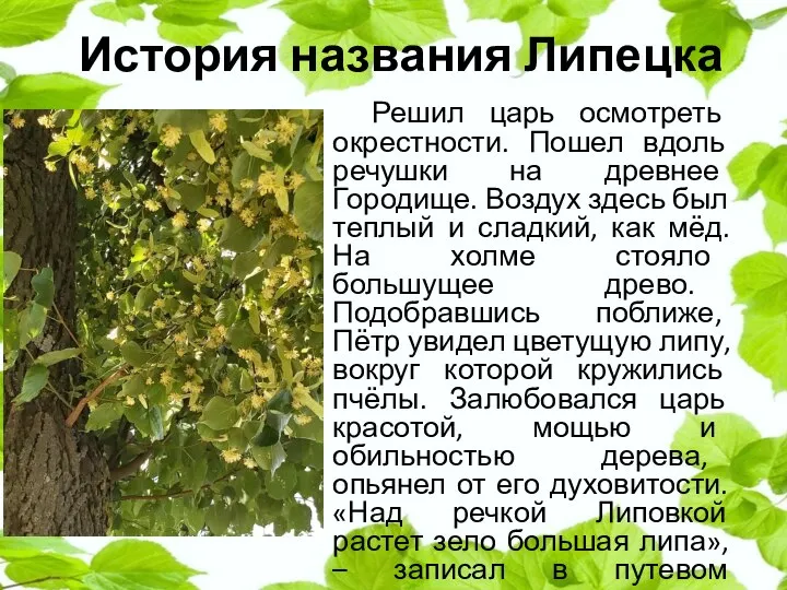 История названия Липецка Решил царь осмотреть окрестности. Пошел вдоль речушки на