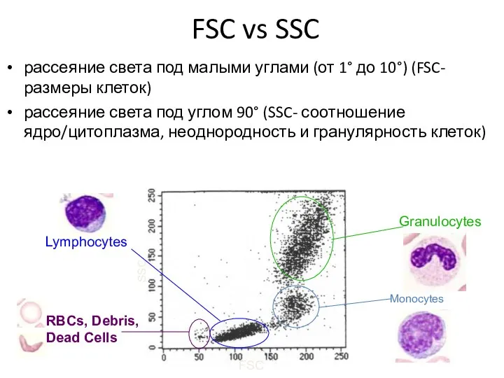 FSC vs SSC рассеяние света под малыми углами (от 1° до