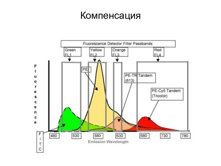 Компенсация