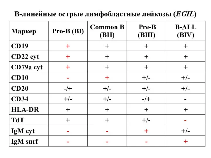 В-линейные острые лимфобластные лейкозы (EGIL)