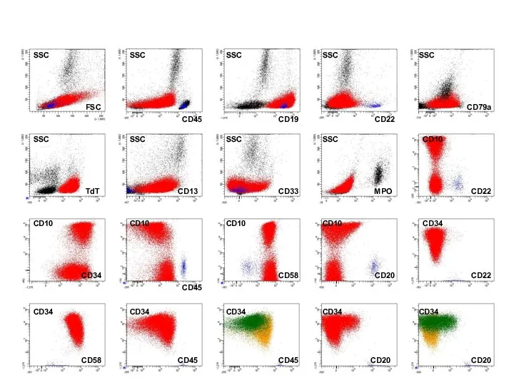 FSC SSC SSC SSC SSC SSC CD19 CD45 CD79a CD22 SSC