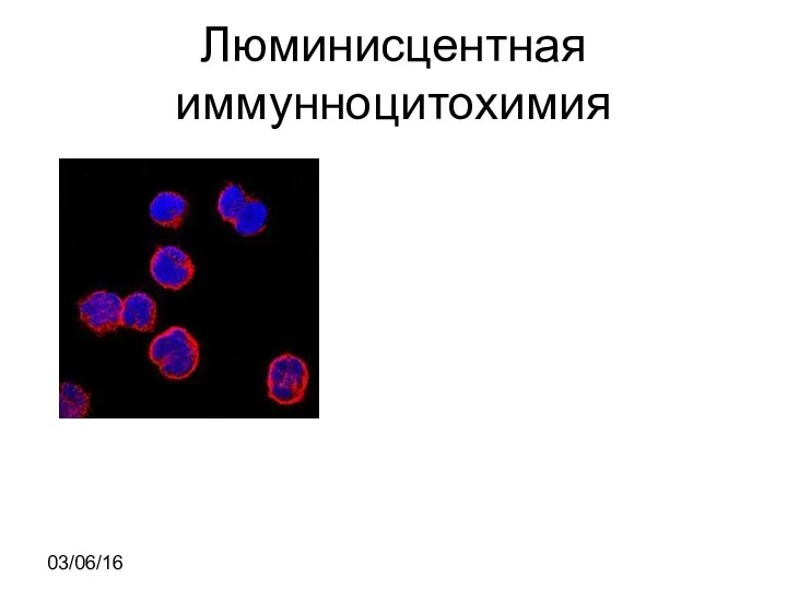 Люминисцентная иммунноцитохимия 03/06/16