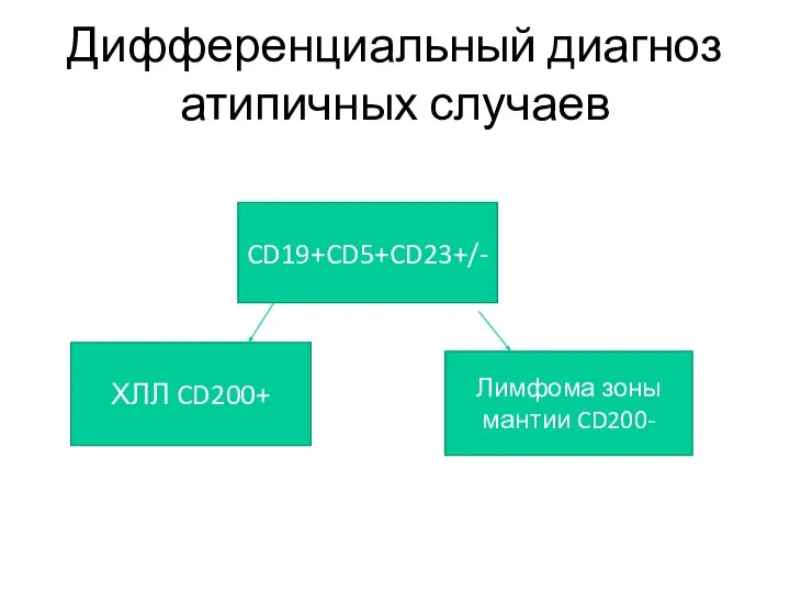 Дифференциальный диагноз атипичных случаев CD19+CD5+CD23+/- ХЛЛ CD200+ Лимфома зоны мантии CD200-