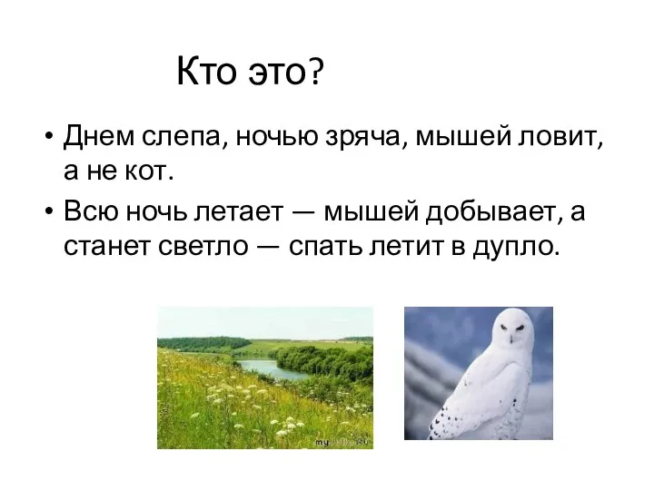 Кто это? Днем слепа, ночью зряча, мышей ловит, а не кот.