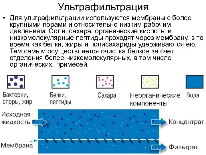 Ультрафильтрация Для ультрафильтрации используются мембраны с более крупными порами и относительно