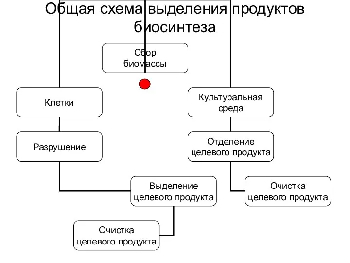 Общая схема выделения продуктов биосинтеза