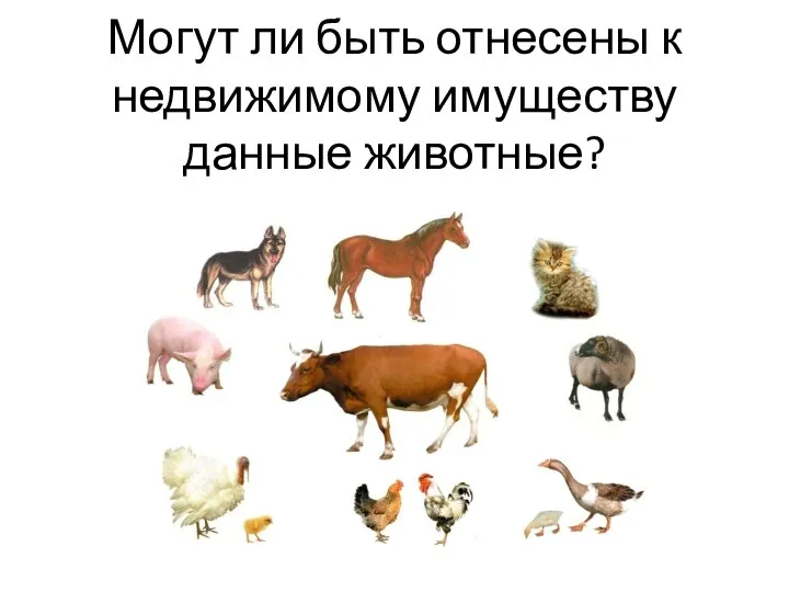 Могут ли быть отнесены к недвижимому имуществу данные животные?