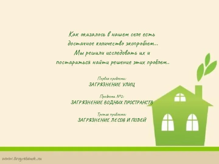 Как оказалось в нашем селе есть достачное количество экопроблем... Мы решили