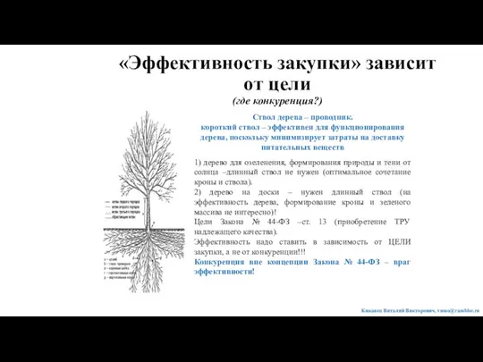 «Эффективность закупки» зависит от цели (где конкуренция?) Ствол дерева – проводник.