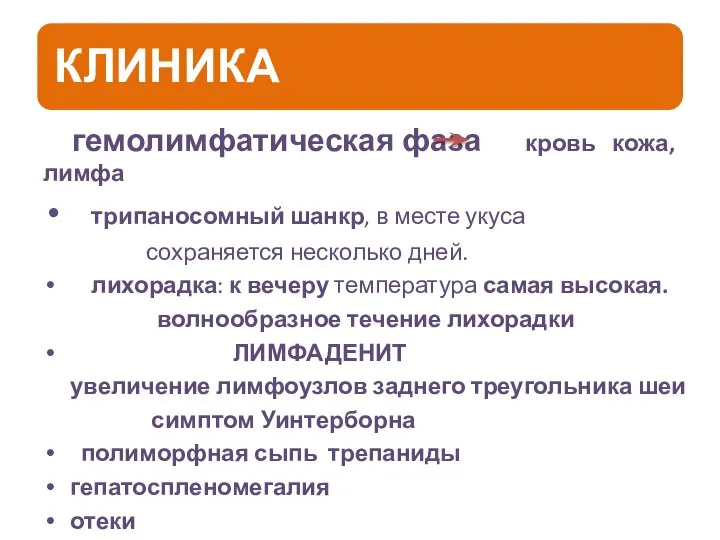 гемолимфатическая фаза кровь кожа, лимфа трипаносомный шанкр, в месте укуса сохраняется