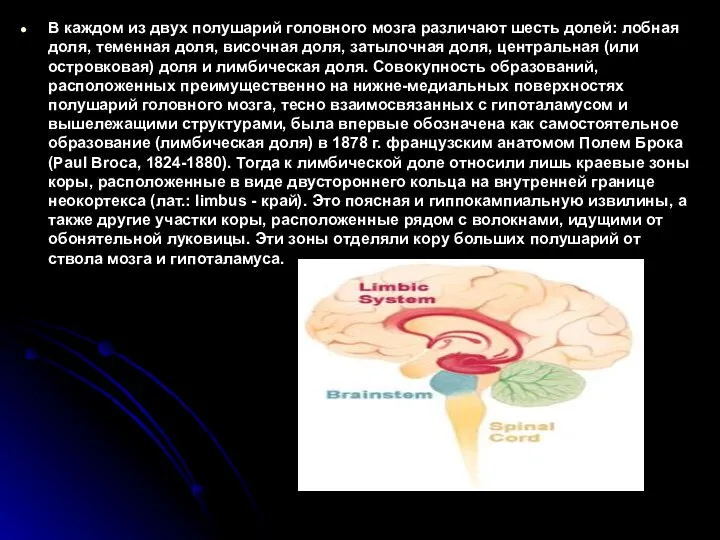 В каждом из двух полушарий головного мозга различают шесть долей: лобная