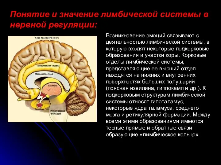 Понятие и значение лимбической системы в нервной регуляции: Возникновение эмоций связывают