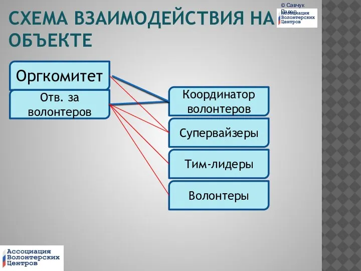 СХЕМА ВЗАИМОДЕЙСТВИЯ НА ОБЪЕКТЕ Оргкомитет Отв. за волонтеров Волонтеры Тим-лидеры Супервайзеры Координатор волонтеров