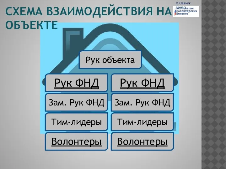 СХЕМА ВЗАИМОДЕЙСТВИЯ НА ОБЪЕКТЕ Волонтеры Тим-лидеры Зам. Рук ФНД Рук объекта