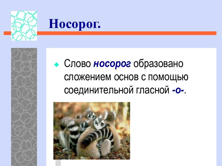 Слово носорог образовано сложением основ с помощью соединительной гласной -о-. Носорог.