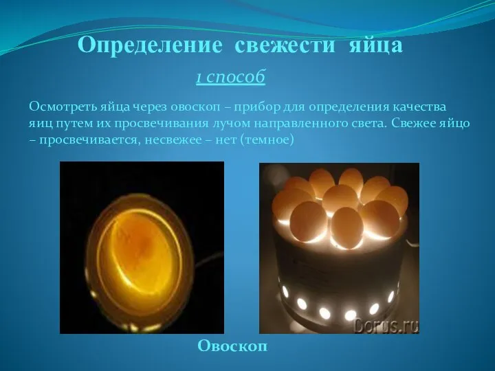 Определение свежести яйца 1 способ Овоскоп Осмотреть яйца через овоскоп –