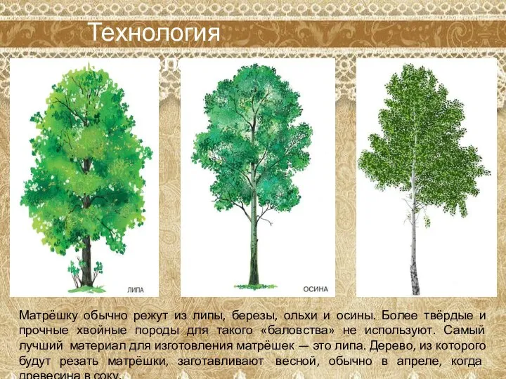 Матрёшку обычно режут из липы, березы, ольхи и осины. Более твёрдые