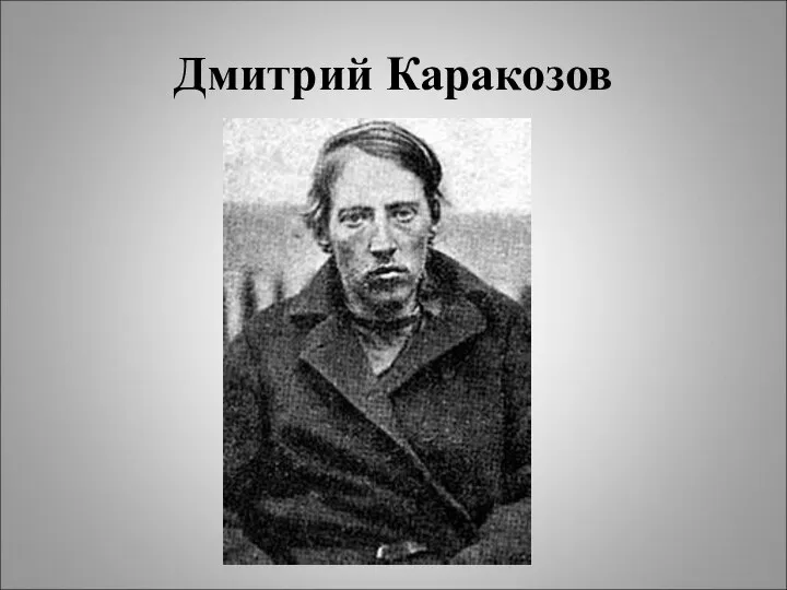 Дмитрий Каракозов