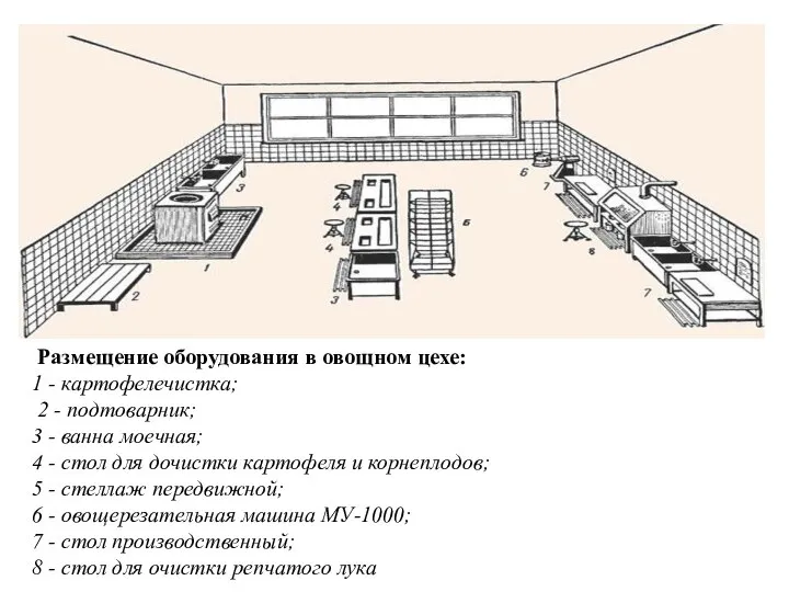 Размещение оборудования в овощном цехе: 1 - картофелечистка; 2 - подтоварник;