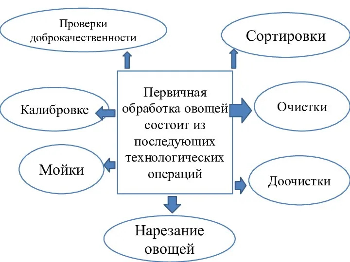 Первичная обработка овощей состоит из последующих технологических операций Проверки доброкачественности Сортировки