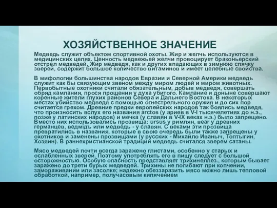 ХОЗЯЙСТВЕННОЕ ЗНАЧЕНИЕ Медведь служит объектом спортивной охоты. Жир и желчь используются