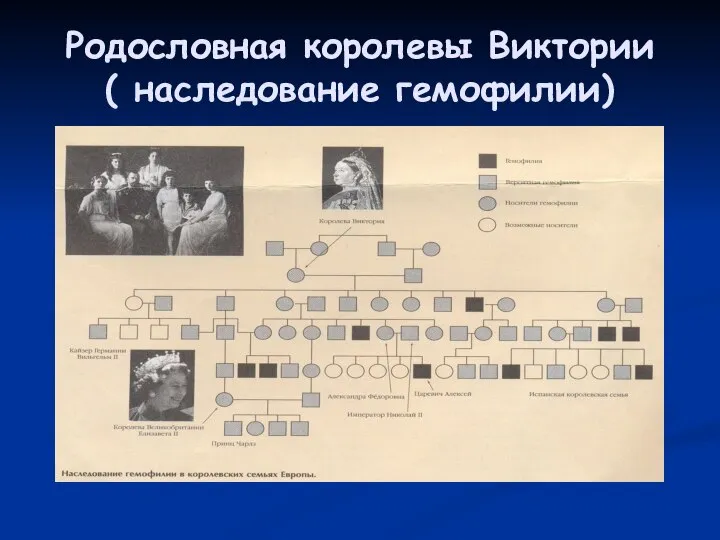 Родословная королевы Виктории ( наследование гемофилии)