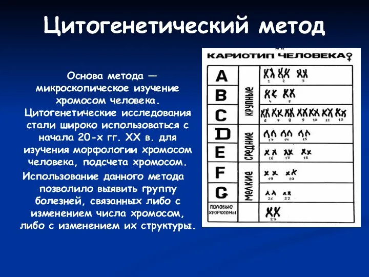 Цитогенетический метод Основа метода — микроскопическое изучение хромосом человека. Цитогенетические исследования