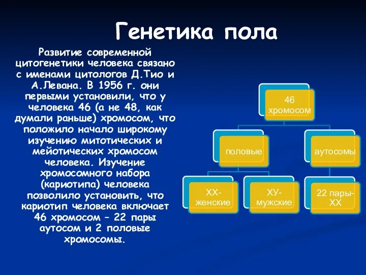 Генетика пола Развитие современной цитогенетики человека связано с именами цитологов Д.Тио