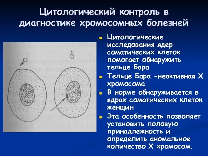 Цитологический контроль в диагностике хромосомных болезней Цитологические исследования ядер соматических клеток