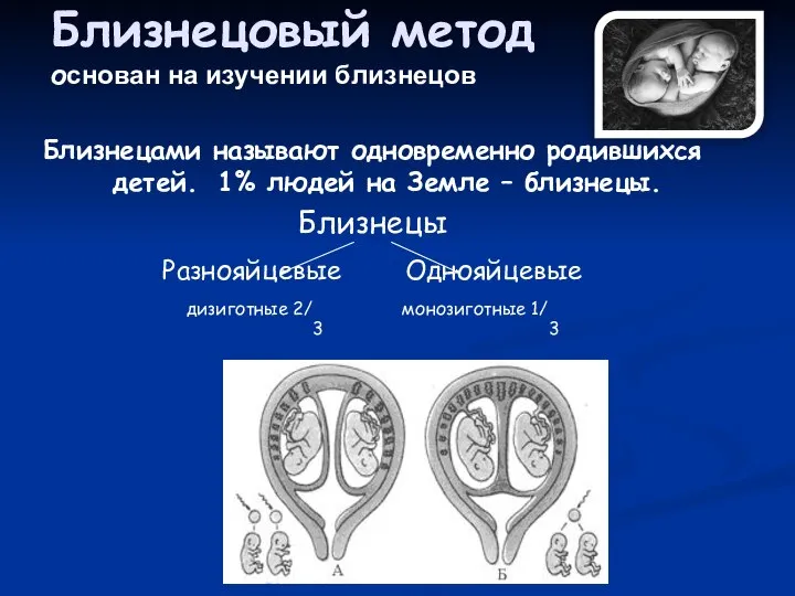 Близнецовый метод основан на изучении близнецов Близнецами называют одновременно родившихся детей.