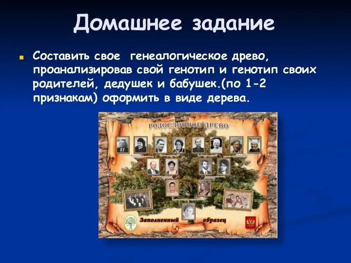 Домашнее задание Составить свое генеалогическое древо, проанализировав свой генотип и генотип