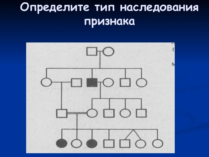 Определите тип наследования признака